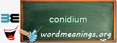 WordMeaning blackboard for conidium